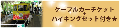 冬先取り 冬の高尾山を満喫♪ ケーブルカーチケット＋ハイキングセット付き★